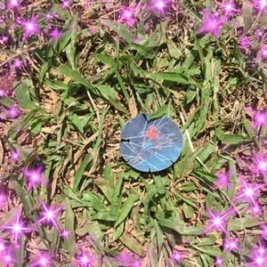 Meet your Posher, Anahi